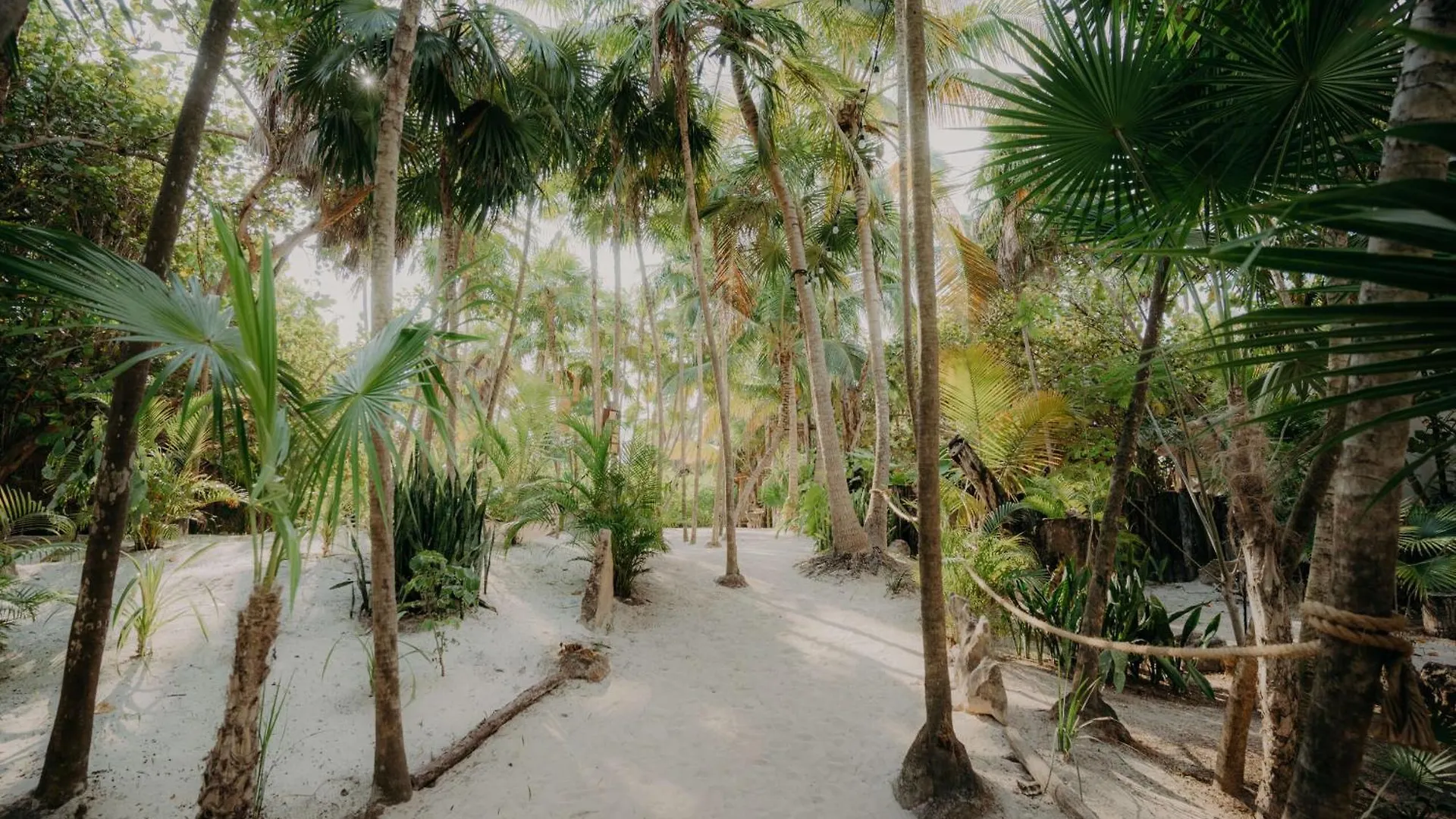 Casa Felipa Chic Jungle Retreat With Private Pool Apartment Tulum